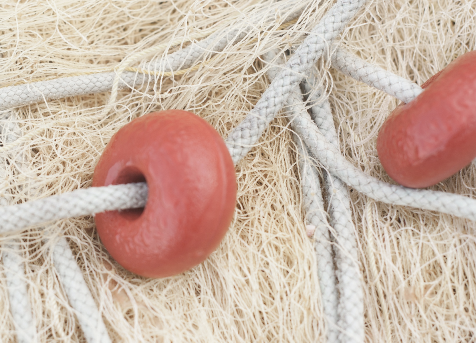 /uploads/posts/6f3b0e128526ffc7efb0bdc27a354f9e2c200e14/images/fishing net.png